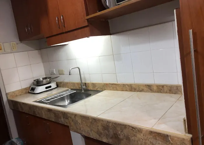 1br Unit W/ Fantastic View Near Us Embassy 4* Manila